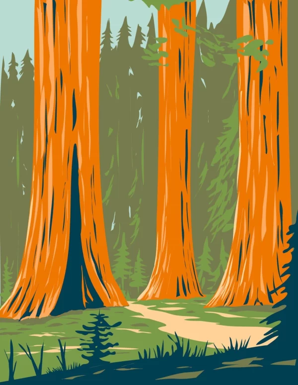 Giant Sequoia Redwoods in Yosemite