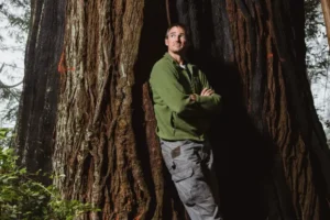 A man who refused to let a redwood tree be cut down by loggers ended up building a house in it and living there for two years .
