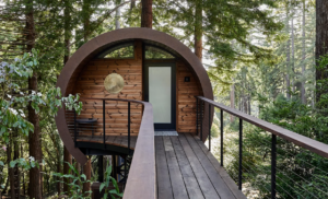 This 300-Square-Foot Northern California Home Is Built Around a Redwood Tree
